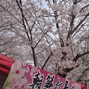 贵阳旅游 缩略图 7