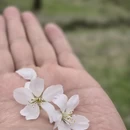 贵阳旅游 缩略图 11