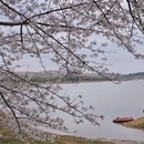 贵阳旅游 缩略图 10