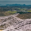 贵阳旅游 缩略图 4