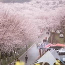 贵阳旅游 缩略图 1
