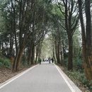 贵阳旅游 缩略图 4