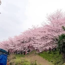 贵阳旅游 缩略图 3
