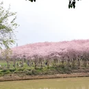 贵阳旅游 缩略图 2