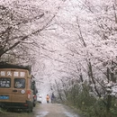 贵阳旅游 缩略图 3