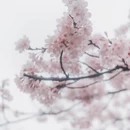贵阳旅游 缩略图 12
