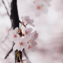 贵阳旅游 缩略图 16