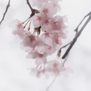 贵阳旅游 缩略图 14