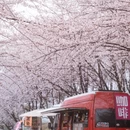 贵阳旅游 缩略图 10