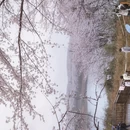 贵阳旅游 缩略图 17