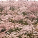 贵阳旅游 缩略图 2