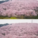贵阳旅游 缩略图 10