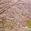 贵阳旅游 缩略图 11