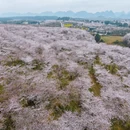 安顺旅游 缩略图 1