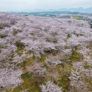 安顺旅游 缩略图 6