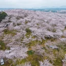 安顺旅游 缩略图 5