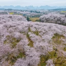 安顺旅游 缩略图 2