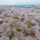 安顺旅游 缩略图 7