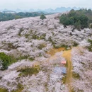 安顺旅游 缩略图 3