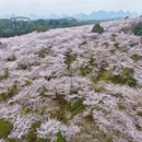 安顺旅游 缩略图 8