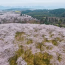 安顺旅游 缩略图 4