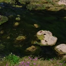 安顺旅游 缩略图 4