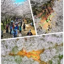 贵阳旅游 缩略图 3