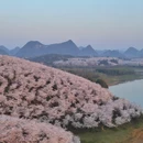 贵阳旅游 缩略图 2
