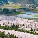 贵阳旅游 缩略图 7