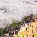 贵阳旅游 缩略图 8