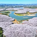 贵阳旅游 缩略图 7