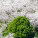 贵阳旅游 缩略图 14
