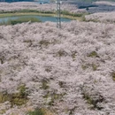 贵阳旅游 缩略图 17