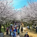贵阳旅游 缩略图 4