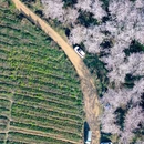 贵阳旅游 缩略图 18