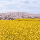 贵阳旅游 缩略图 2