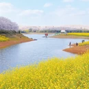 贵阳旅游 缩略图 1