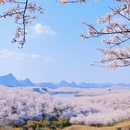 贵阳旅游 缩略图 5