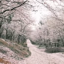 贵阳旅游 缩略图 1