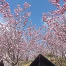 贵阳旅游 缩略图 9