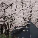 贵阳旅游 缩略图 5