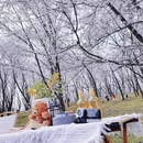 贵阳旅游 缩略图 6