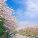 贵阳旅游 缩略图 6