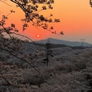 贵阳旅游 缩略图 13