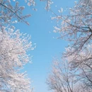 贵阳旅游 缩略图 15