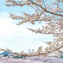 贵阳旅游 缩略图 14