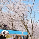 贵阳旅游 缩略图 7