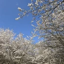 贵阳旅游 缩略图 3