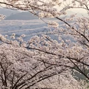 贵阳旅游 缩略图 2