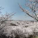 贵阳旅游 缩略图 12